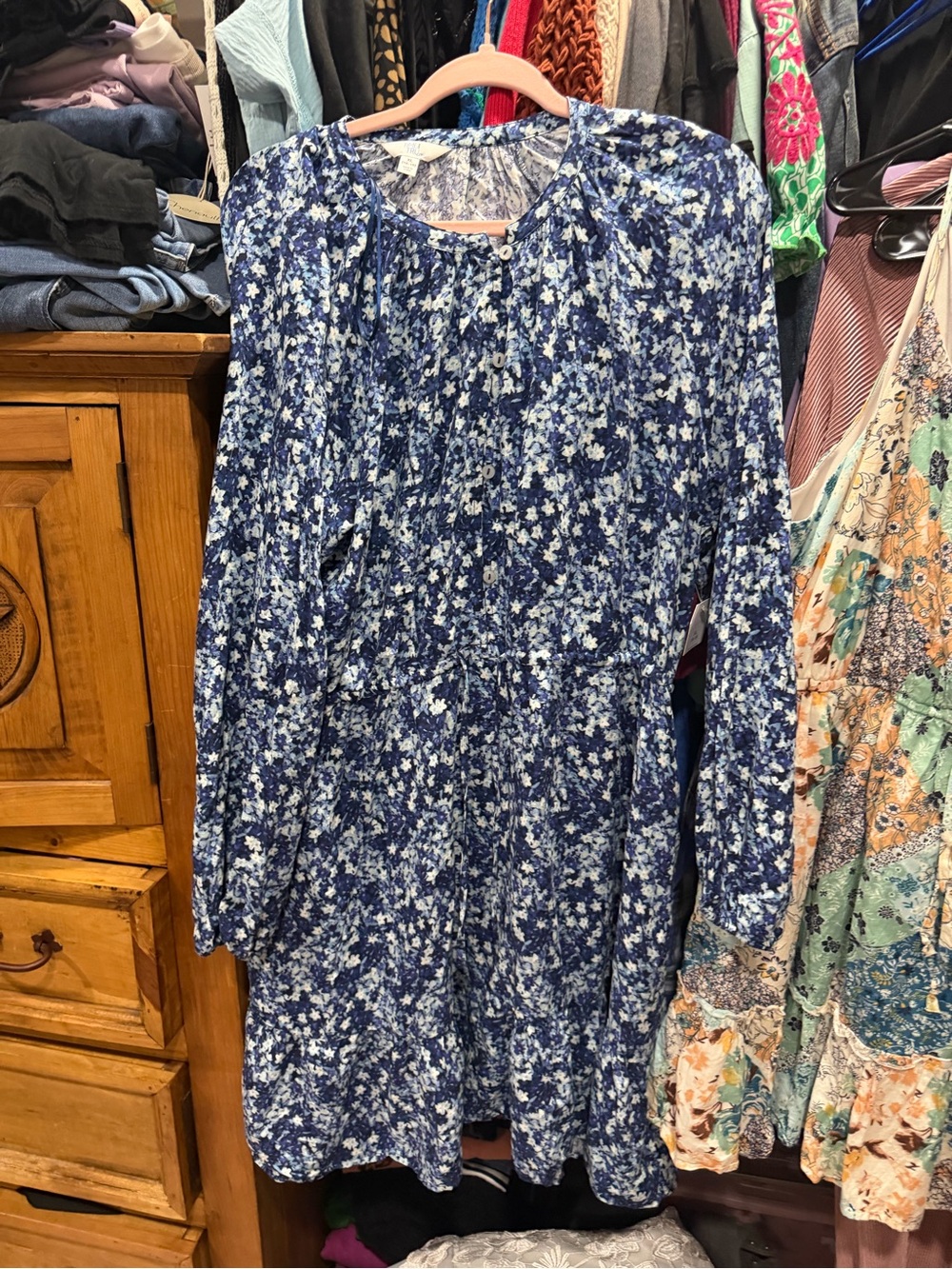 Time and Tru Blue Floral Long-Sleeve Dress